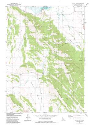 Wayan West USGS topographic map 42111h4