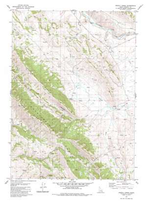 Grizzly Creek topo map