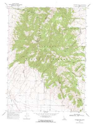 Elkhorn Peak topo map