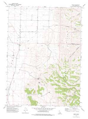 Buist topo map
