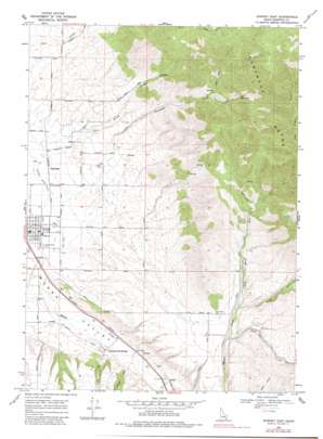 Downey East topo map