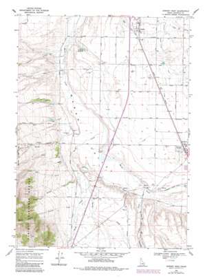 Downey West topo map