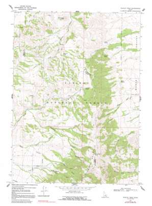 Wakley Peak USGS topographic map 42112d3