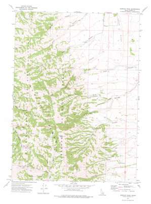 Hartley Peak USGS topographic map 42112d8