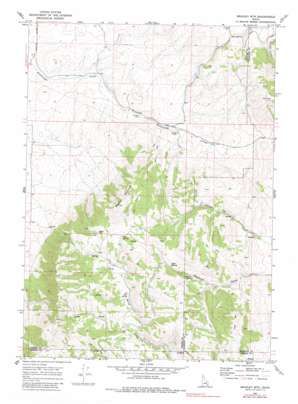 Bradley Mountain USGS topographic map 42112e4
