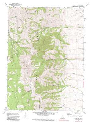 Scout Mountain topo map