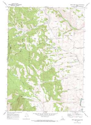 Bear Camp Gulch USGS topographic map 42112g1