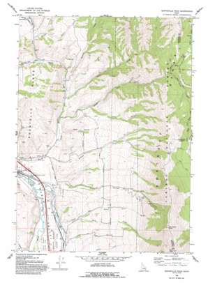 Bonneville Peak USGS topographic map 42112g2