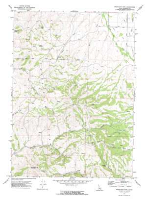 Moonlight Mountain USGS topographic map 42112h3