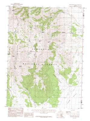 Black Pine Peak USGS topographic map 42113a1