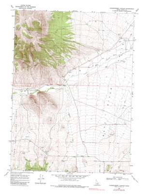 Chokecherry Canyon USGS topographic map 42113a4