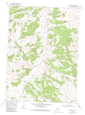 Blue Hill USGS topographic map 42113a8