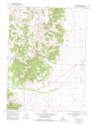 Nibbs Creek USGS topographic map 42113c4