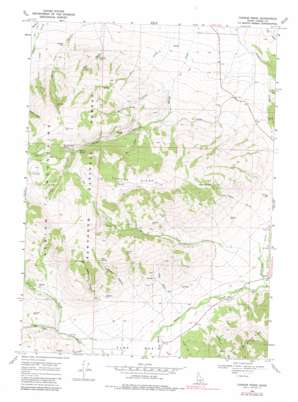 Connor Ridge USGS topographic map 42113c5