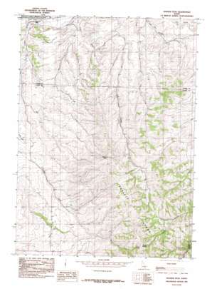 Badger Peak USGS topographic map 42113e1