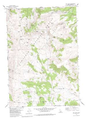 Ibex Peak USGS topographic map 42114a1