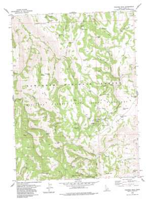 Trapper Peak USGS topographic map 42114b2