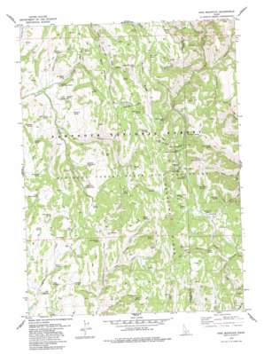 Pike Mountain USGS topographic map 42114b3
