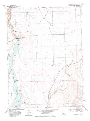Salmon Butte topo map