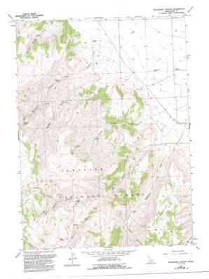 Buckhorn Canyon USGS topographic map 42114c1