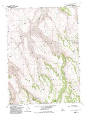 Rams Horn Ridge topo map