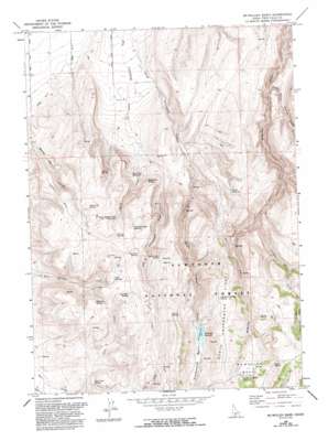 Mcmullen Basin topo map