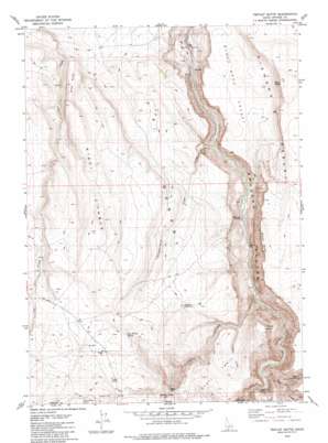 Triplet Butte USGS topographic map 42115a6