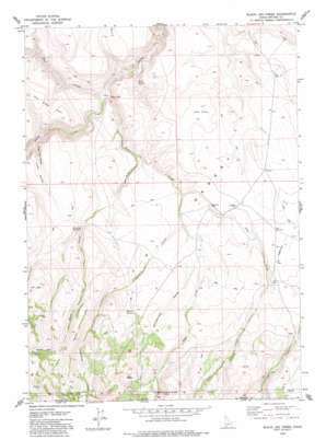Black Leg Creek USGS topographic map 42115a7