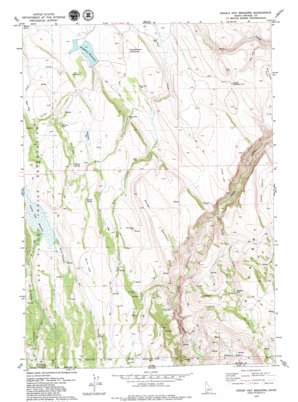 Indian Hay Meadows USGS topographic map 42115a8