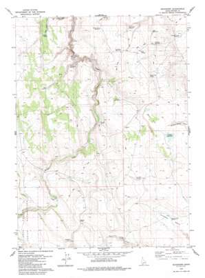 Buckhorn USGS topographic map 42115b8
