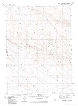 Black Butte East topo map