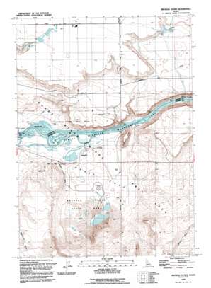 Bruneau Dunes USGS topographic map 42115h6
