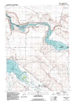 Bruneau USGS topographic map 42115h7