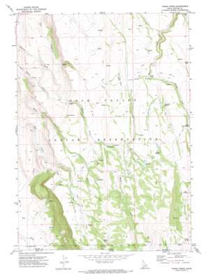 Three Forks topo map