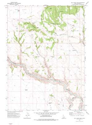 Bull Basin Camp USGS topographic map 42116c8