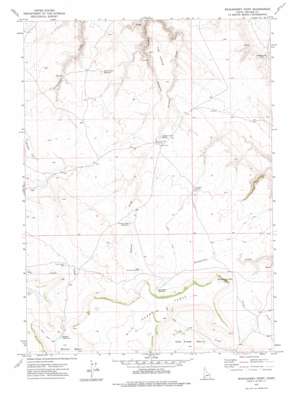 Wickahoney Point USGS topographic map 42116d1