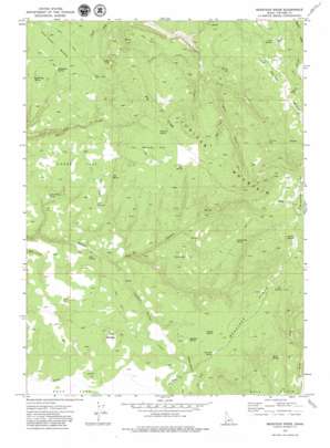 Bedstead Ridge USGS topographic map 42116d8