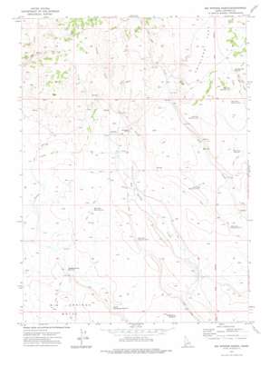 Big Springs Ranch topo map