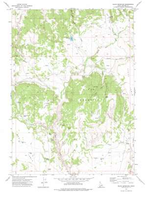 Slack Mountain USGS topographic map 42116e6