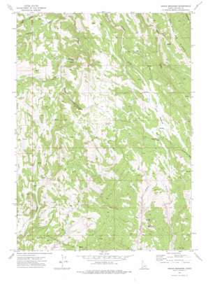 Indian Meadows USGS topographic map 42116f7