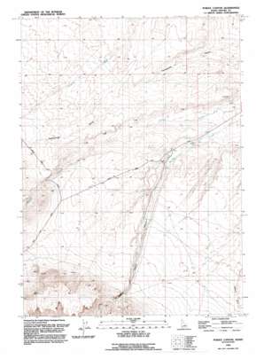 Purjue Canyon USGS topographic map 42116g2