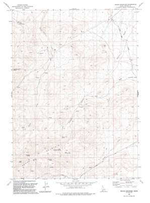 Rough Mountain USGS topographic map 42116g3