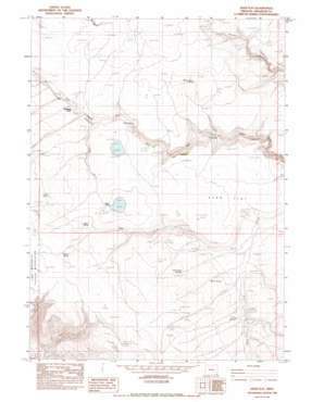 Deer Flat USGS topographic map 42117a4