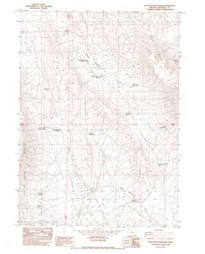 Blue Mountain Basin USGS topographic map 42117c8