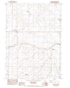 Peacock Lake USGS topographic map 42117d4