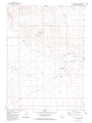 Flat Top Mountain USGS topographic map 42117f8