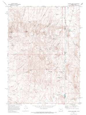 Parsnip Peak USGS topographic map 42117g1