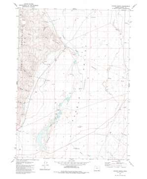 Colony Ranch USGS topographic map 42118a5