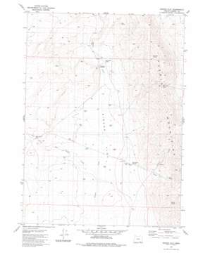 Rincon Flat USGS topographic map 42118b7