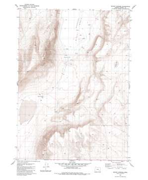Mickey Springs USGS topographic map 42118f3